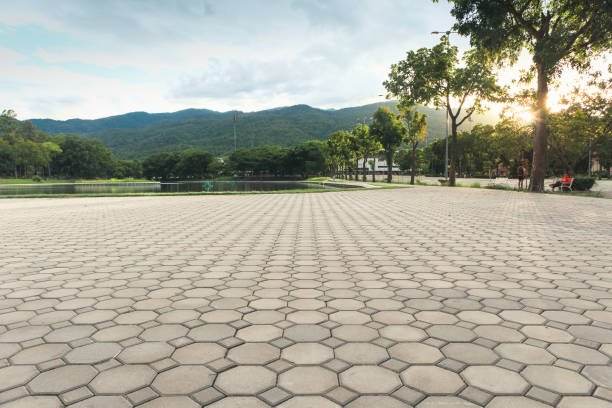 Best Interlocking Driveway Pavers  in Marion Oaks, FL