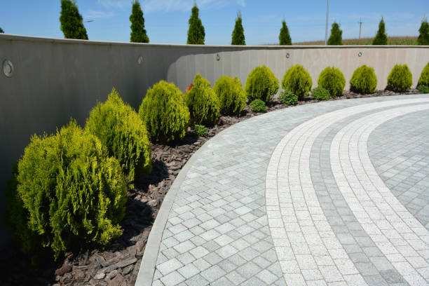 Best Professional Driveway Pavers  in Marion Oaks, FL